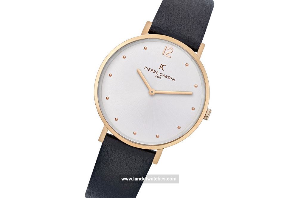  buy pierre cardin watches