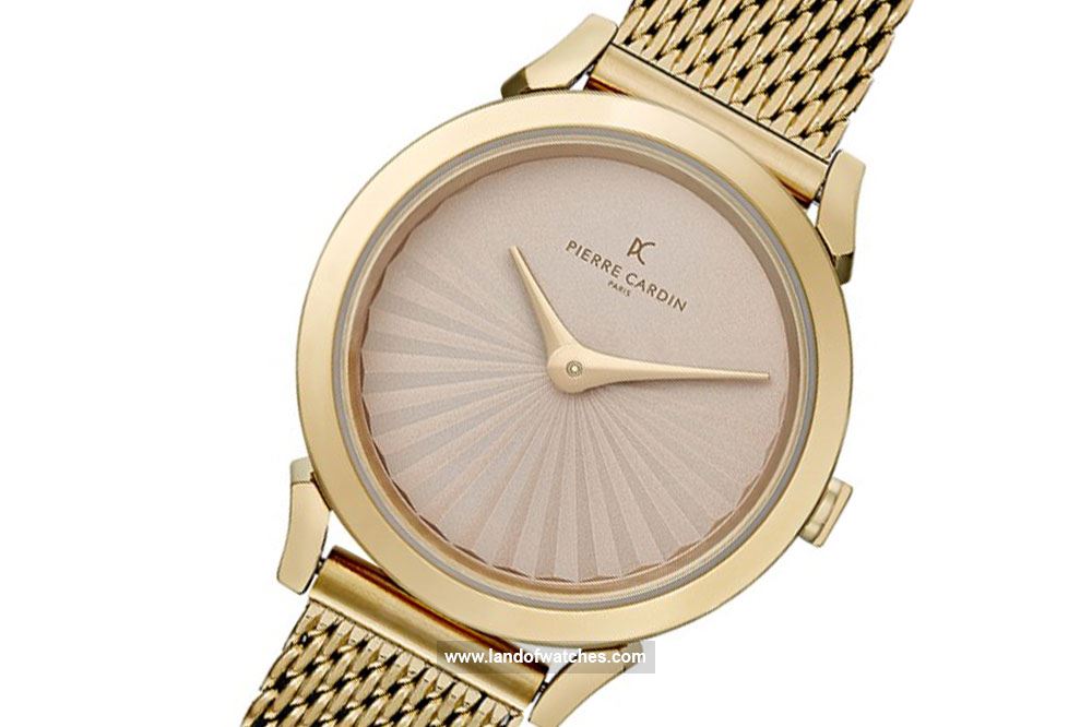  buy pierre cardin watches