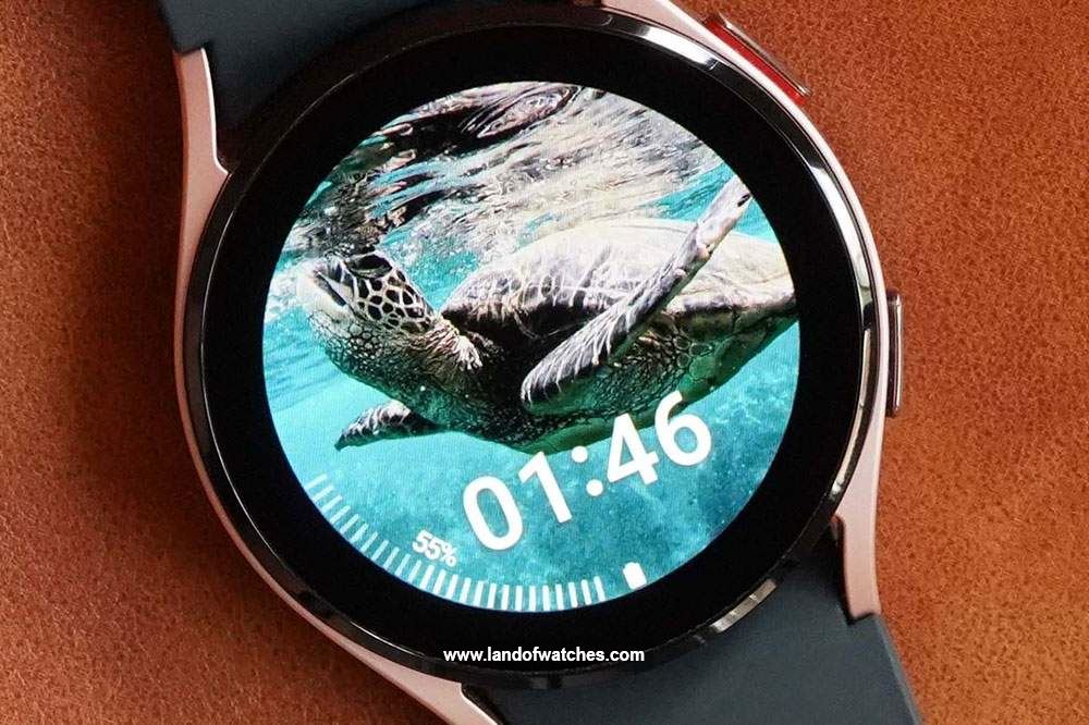  buy swimming watches