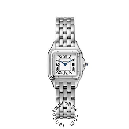 Buy CARTIER CRWJPN0019 Watches | Original