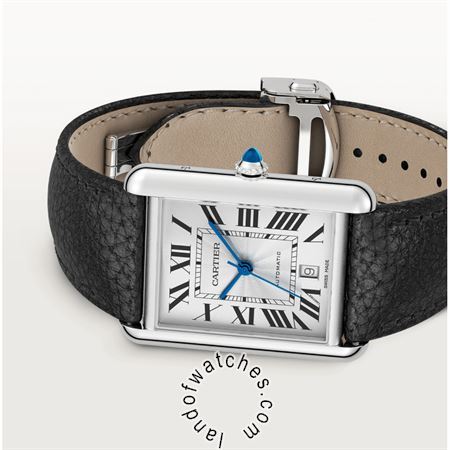 Buy CARTIER CRWSTA0040 Watches | Original