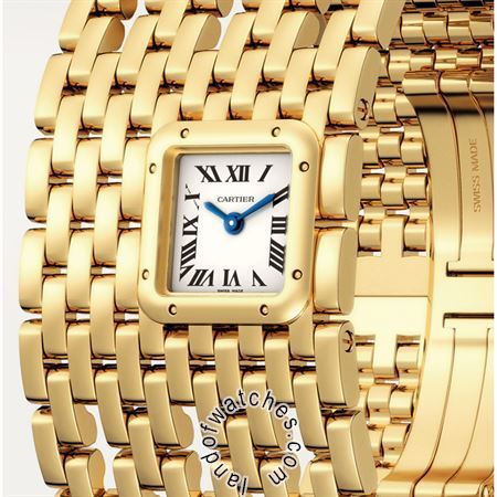 Buy CARTIER CRWGPN0018 Watches | Original