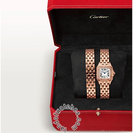 Buy CARTIER CRWJPN0014 Watches | Original