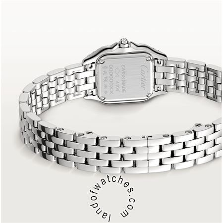 Buy CARTIER CRWJPN0019 Watches | Original