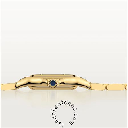 Buy CARTIER CRWGPN0008 Watches | Original