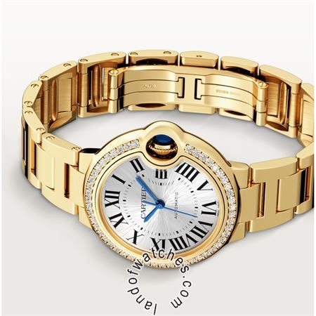 Buy CARTIER CRWJBB0069 Watches | Original