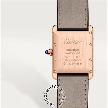 Buy CARTIER CRWGTA0011 Watches | Original