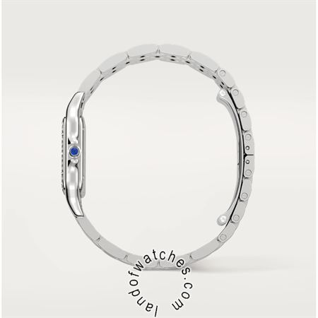 شراء ساعة معصم کارتیر(CARTIER) CRW4PN0008 | | | الأصلي