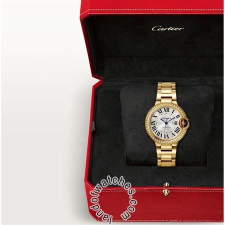 Buy CARTIER CRWJBB0069 Watches | Original