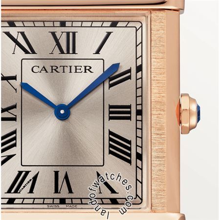 Buy CARTIER CRWGTA0075 Watches | Original