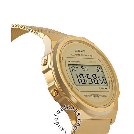 Buy CASIO A171WEMG-9ADF Watches | Original