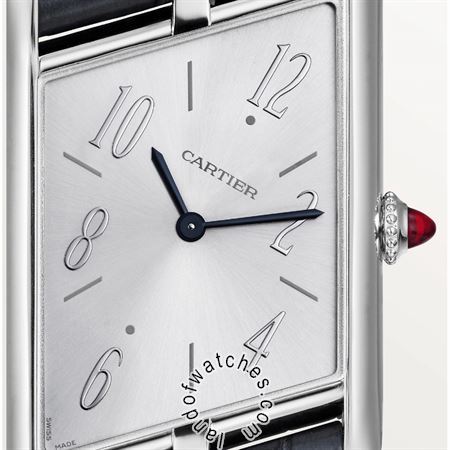 Buy CARTIER CRWGTA0042 Watches | Original