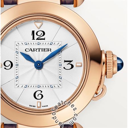 Buy CARTIER CRWGPA0018 Watches | Original