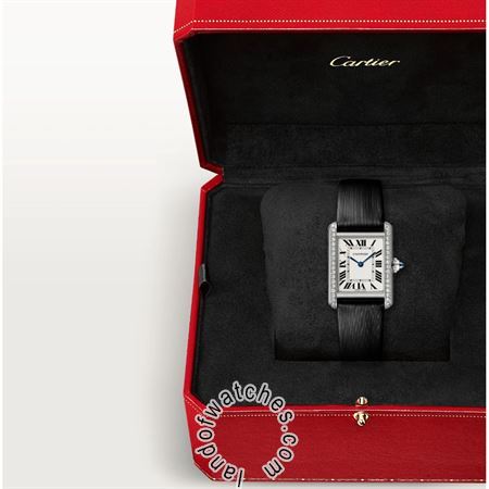 Buy CARTIER CRW4TA0016 Watches | Original