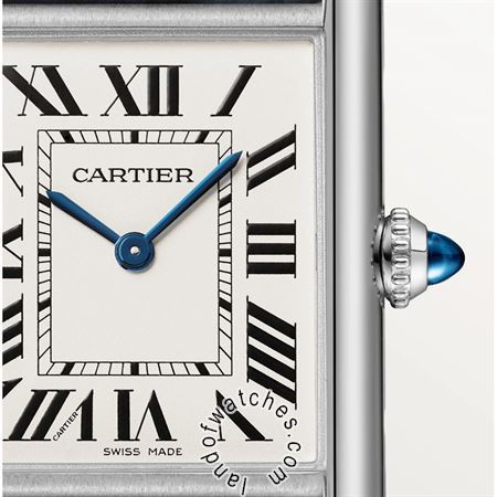 Buy CARTIER CRWSTA0062 Watches | Original