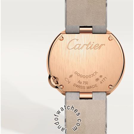 Buy CARTIER CRWGBL0005 Watches | Original