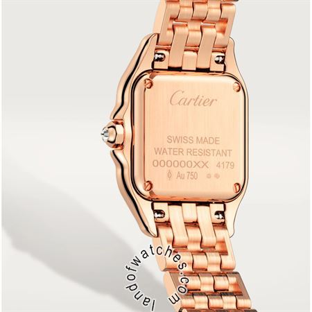 Buy CARTIER CRWJPN0035 Watches | Original