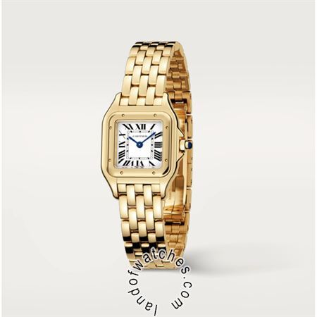 Buy CARTIER CRWGPN0008 Watches | Original