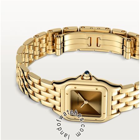 Buy CARTIER CRWGPN0031 Watches | Original