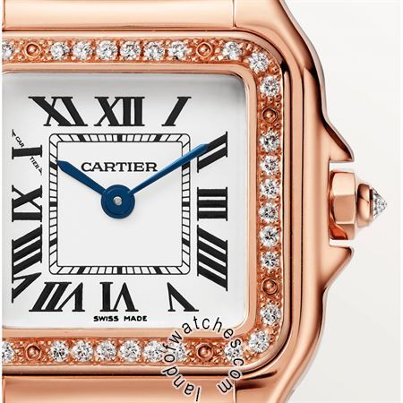 Buy CARTIER CRWJPN0014 Watches | Original