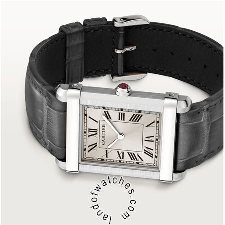 Buy CARTIER CRWGTA0074 Watches | Original