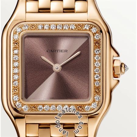 Buy CARTIER CRWJPN0035 Watches | Original