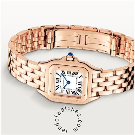 Buy CARTIER CRWGPN0006 Watches | Original