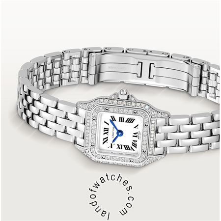 Buy CARTIER CRWJPN0019 Watches | Original