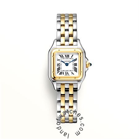 Buy CARTIER CRW2PN0006 Watches | Original