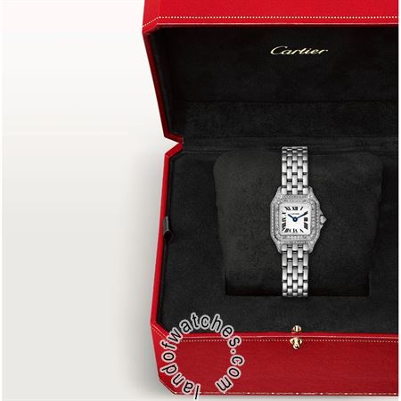 Buy CARTIER CRWJPN0019 Watches | Original