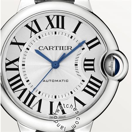 Buy CARTIER CRWSBB0028 Watches | Original