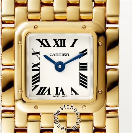 Buy CARTIER CRWGPN0018 Watches | Original