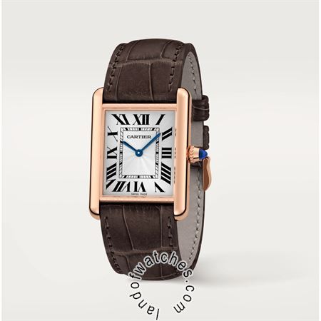 Buy CARTIER CRWGTA0011 Watches | Original