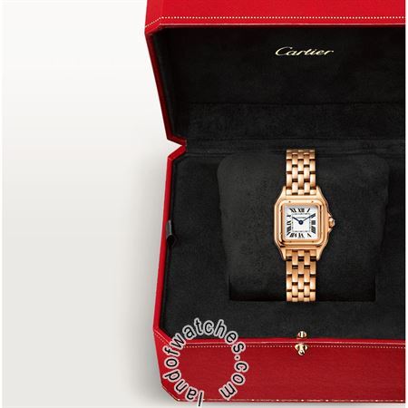 Buy CARTIER CRWGPN0006 Watches | Original