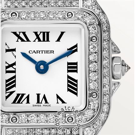 Buy CARTIER CRWJPN0019 Watches | Original