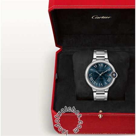 Buy CARTIER CRWSBB0061 Watches | Original