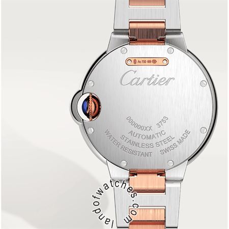 Buy CARTIER CRW3BB0021 Watches | Original