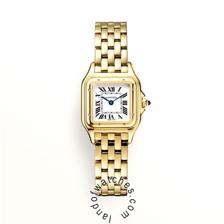 Buy CARTIER CRWGPN0008 Watches | Original