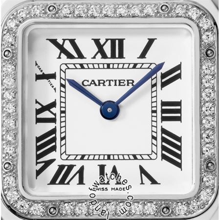 شراء ساعة معصم کارتیر(CARTIER) CRWJPN0007 | | | الأصلي