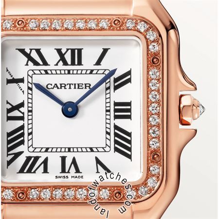 Buy CARTIER CRWJPN0009 Watches | Original