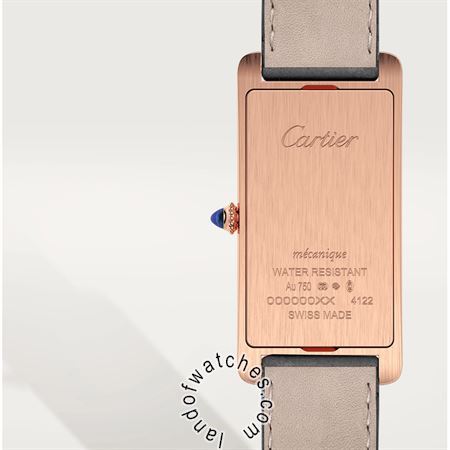 Buy CARTIER CRWGTA0025 Watches | Original