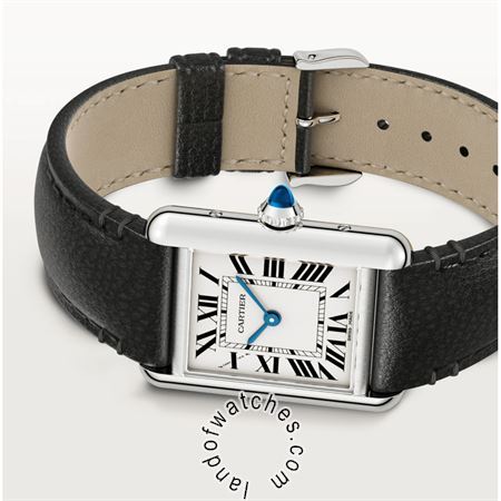 Buy CARTIER CRWSTA0060 Watches | Original