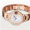  CARTIER CRWJBB0082 Watches