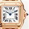  CARTIER CRWGPN0006 Watches