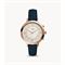  Women's FOSSIL FTW5014 Classic Watches