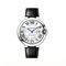  CARTIER CRWSBB0039 Watches