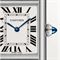  CARTIER CRWSTA0061 Watches