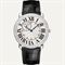  CARTIER CRWR007002 Watches