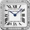  CARTIER CRWJPN0007 Watches